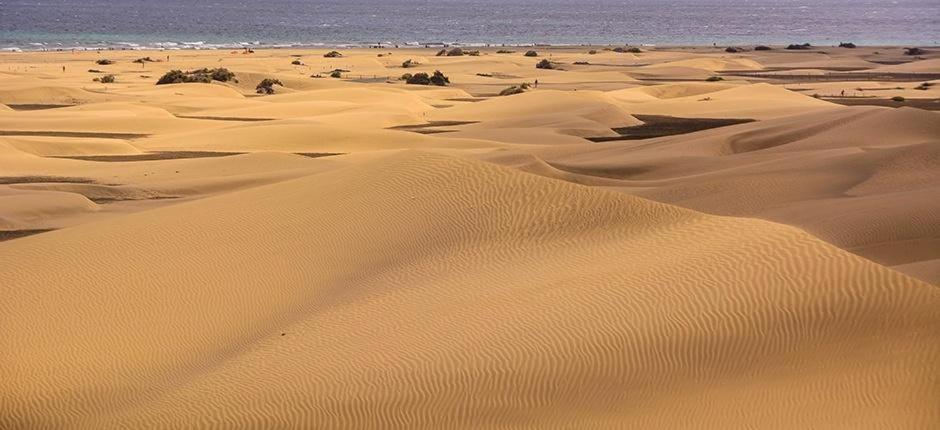 Relax Bungalow With Parking Villa Maspalomas  Exterior foto